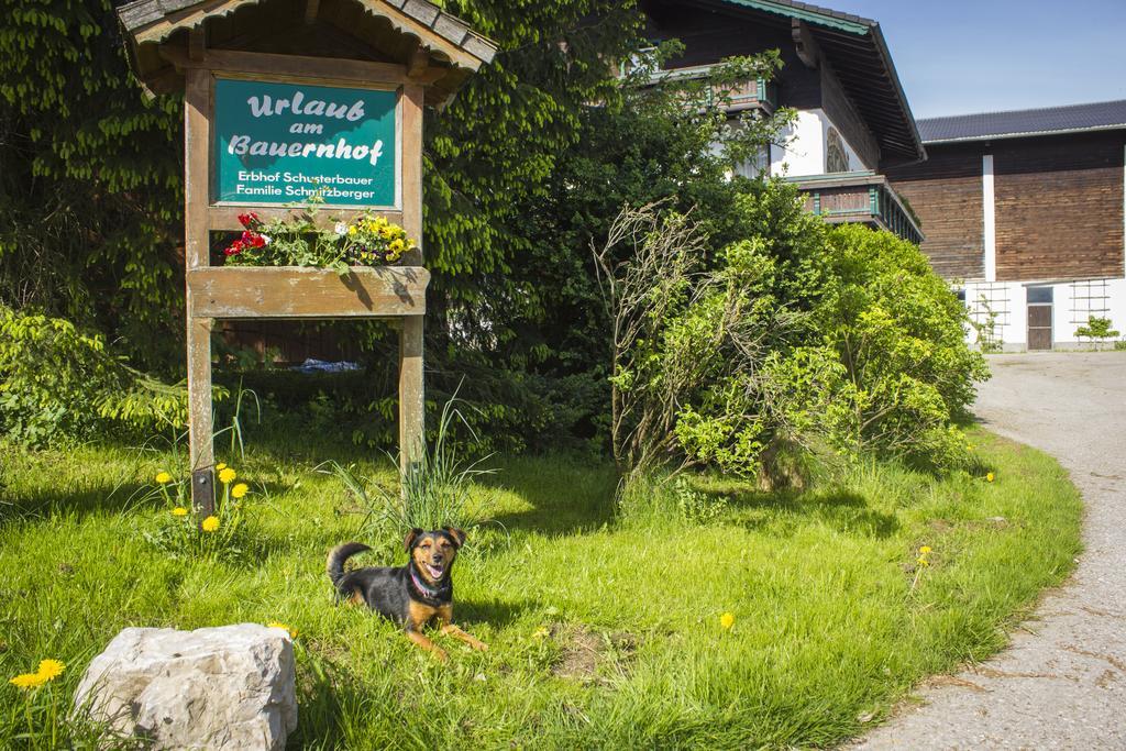 Schusterbauer Villa Koppl Exterior foto